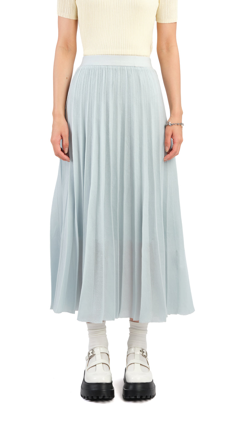 Sheer Knit Skirt