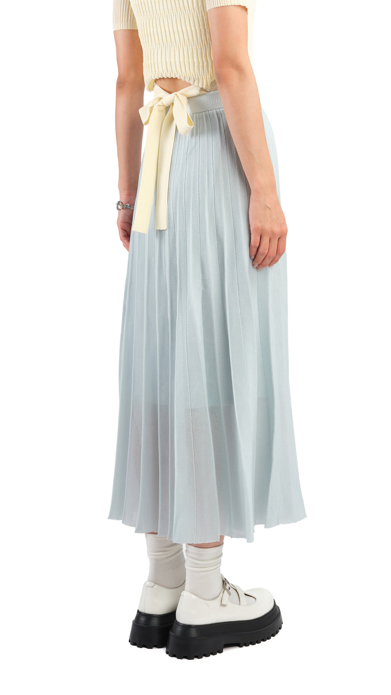 Sheer Knit Skirt