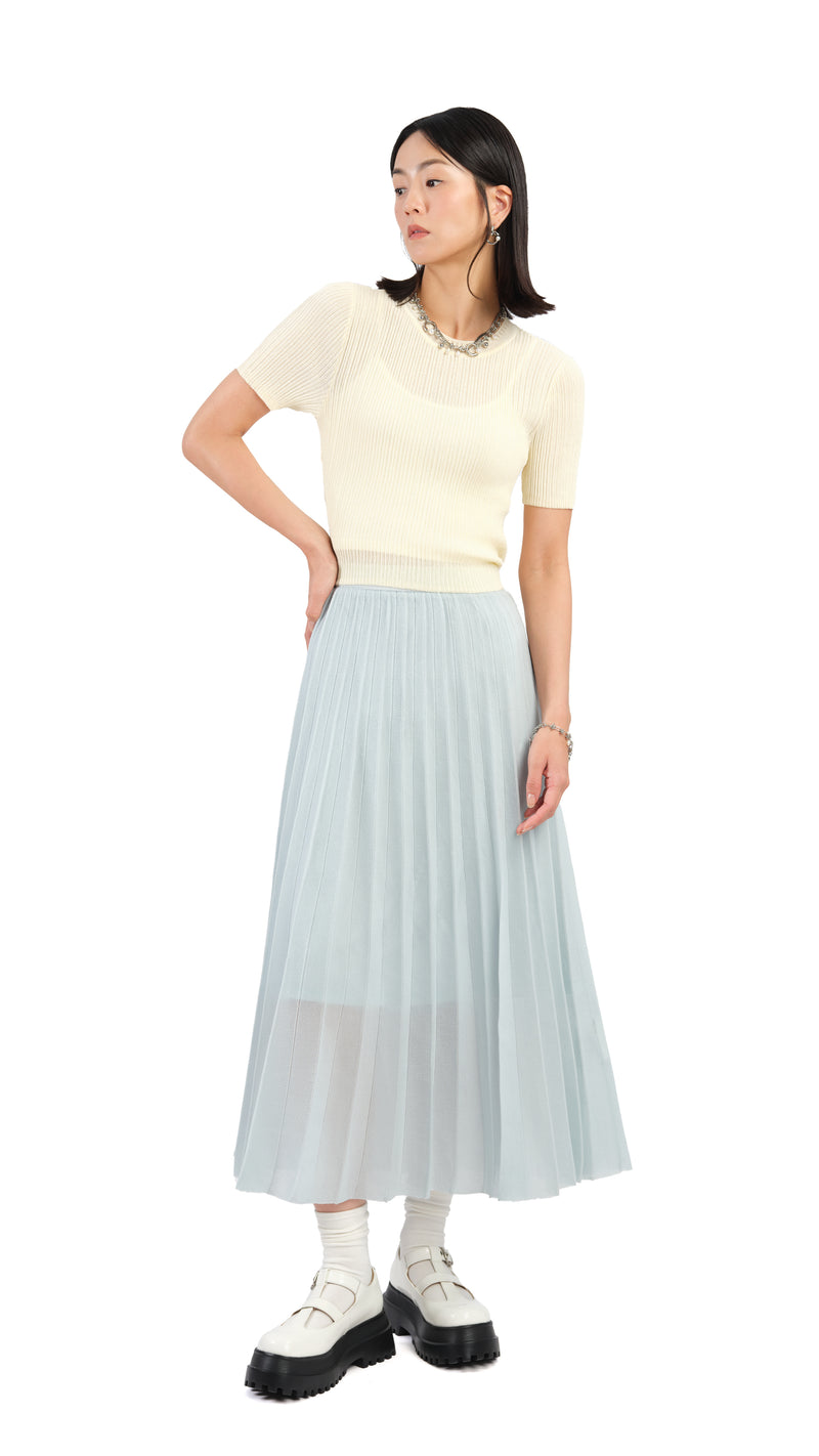 Sheer Knit Skirt