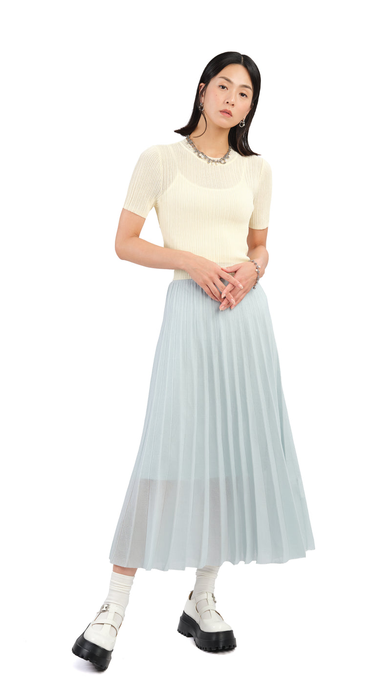 Sheer Knit Skirt