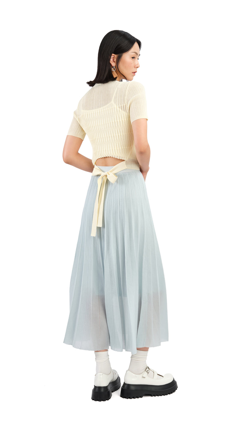 Sheer Knit Skirt