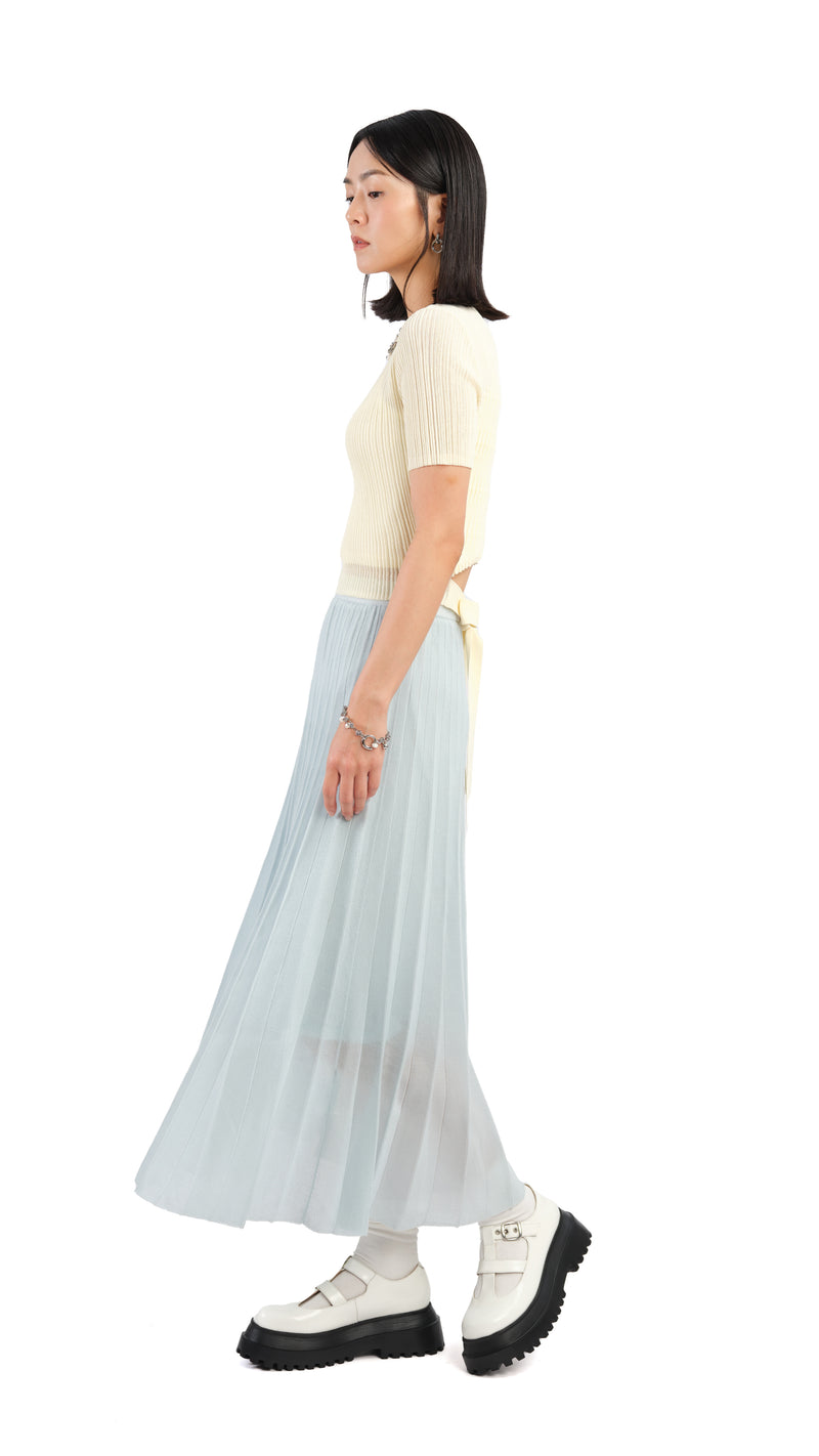 Sheer Knit Skirt